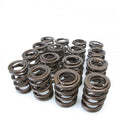 Skunk2 Tuner Series DOHC VTEC Alpha Valve Spring Set (Dual Springs)