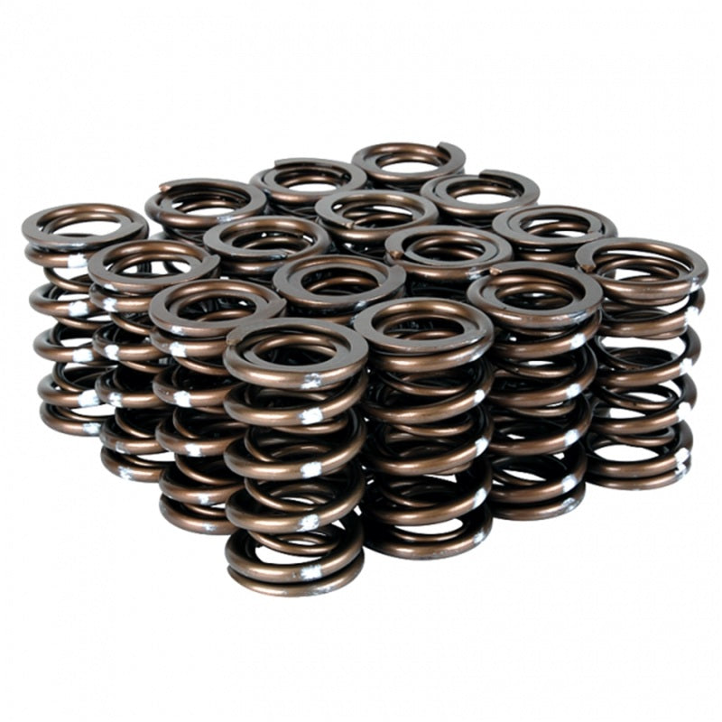 Skunk2 Pro Series i-VTEC XP Valve Spring Set (Dual Springs)
