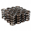 Skunk2 Pro Series i-VTEC XP Valve Spring Set (Dual Springs)