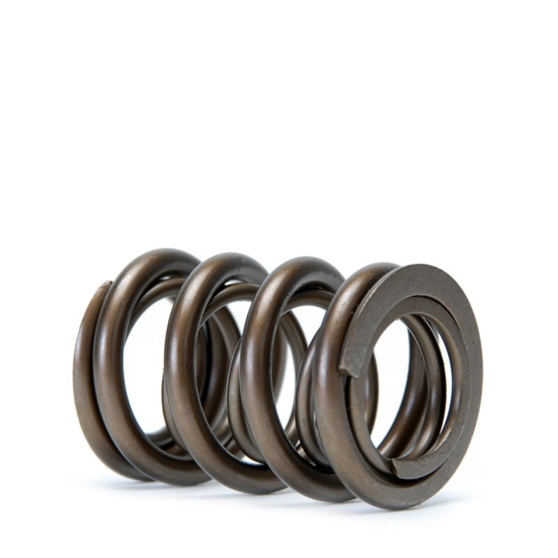 Skunk2 Tuner Series DOHC VTEC Alpha Valve Spring Set (Dual Springs)