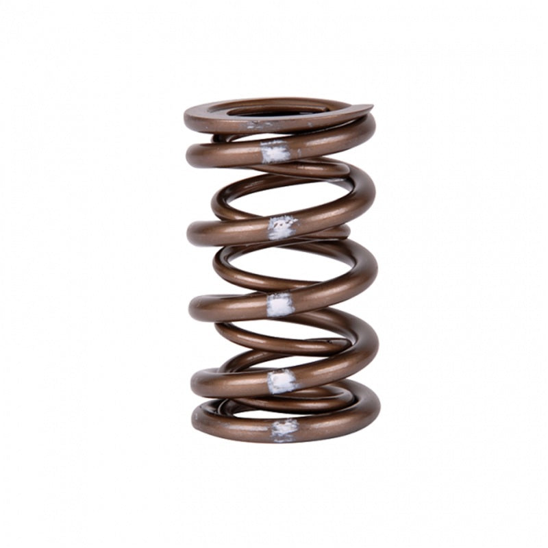 Skunk2 Pro Series i-VTEC XP Valve Spring Set (Dual Springs)