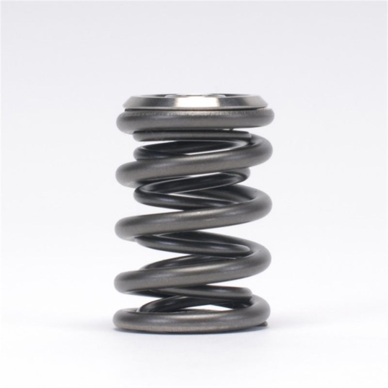 Skunk2 Alpha Series Valve Spring and Titanium Retainer Kit