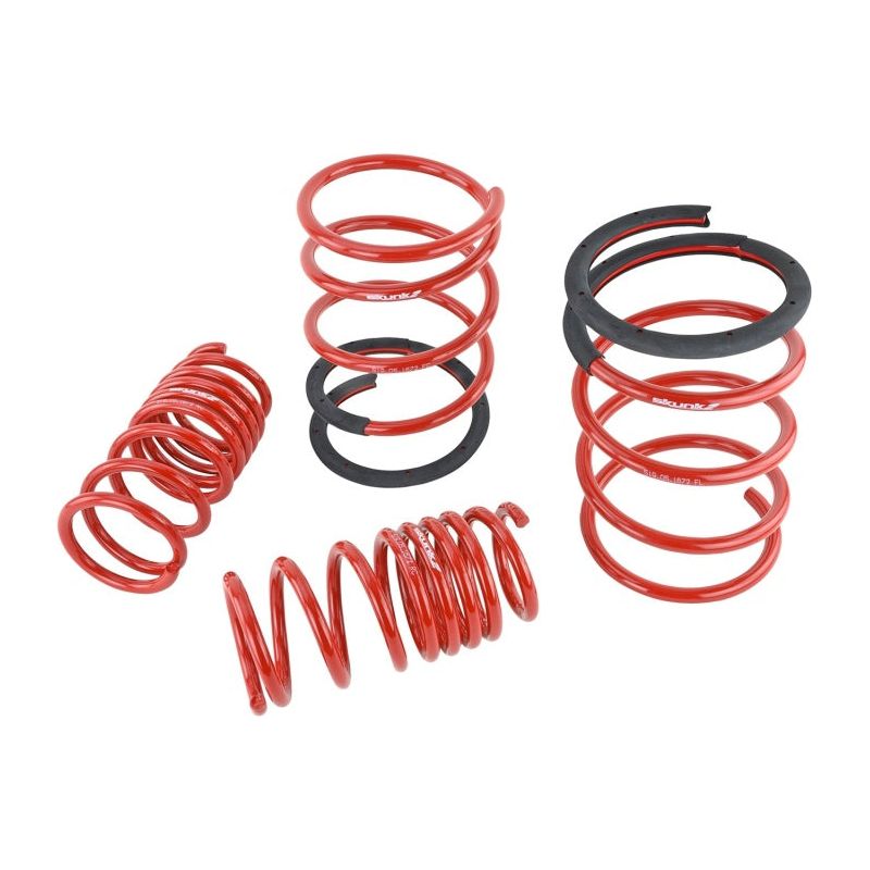 Skunk2 Lowering Springs (2.25in - 2.00in.) 05-06 Acura RSX