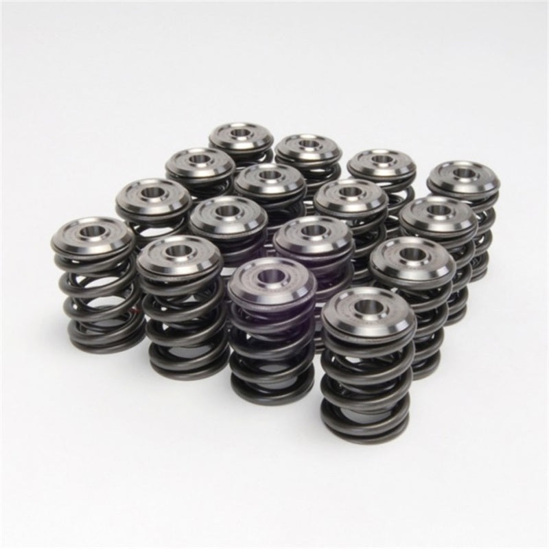 Skunk2 Alpha Series Valve Spring and Titanium Retainer Kit