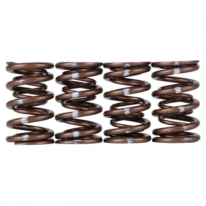Skunk2 Pro Series i-VTEC XP Valve Spring Set (Dual Springs)