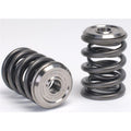 Skunk2 Alpha Series Valve Spring and Titanium Retainer Kit