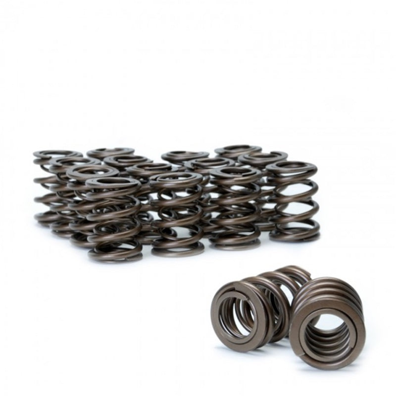 Skunk2 Tuner Series DOHC VTEC Alpha Valve Spring Set (Dual Springs)