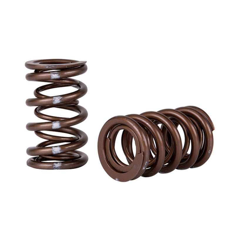 Skunk2 Pro Series i-VTEC XP Valve Spring Set (Dual Springs)