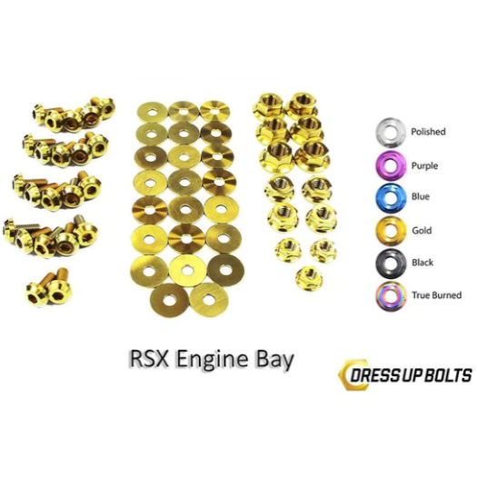 Titanium Dress Up Bolts