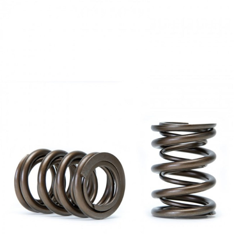 Skunk2 Tuner Series DOHC VTEC Alpha Valve Spring Set (Dual Springs)